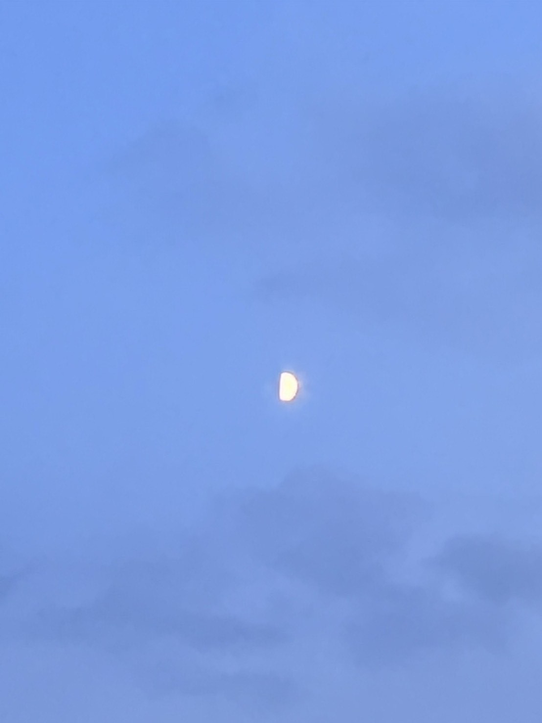半分の月🌓