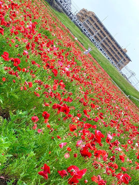 ぶらり途中下車の旅🚃