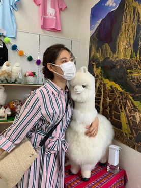 アルパカのお店☺︎