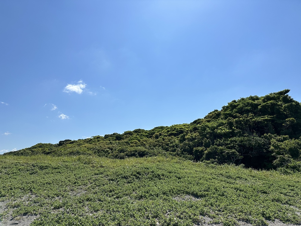 フェス🏖️🏖️🏖️