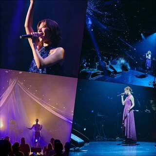 2025.2.11 Live  FC先行受付開始🦁