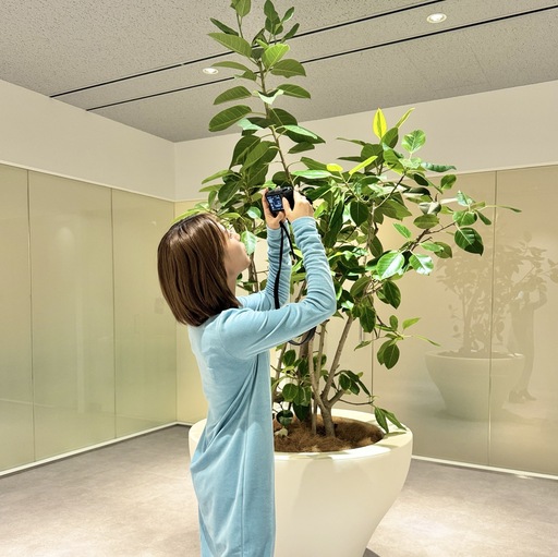 とある日のできごと🌱