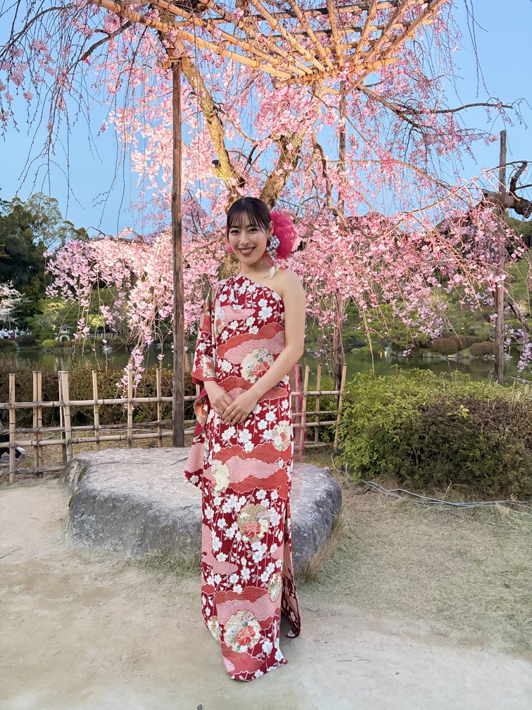 平安神宮桜音夜2026🌸